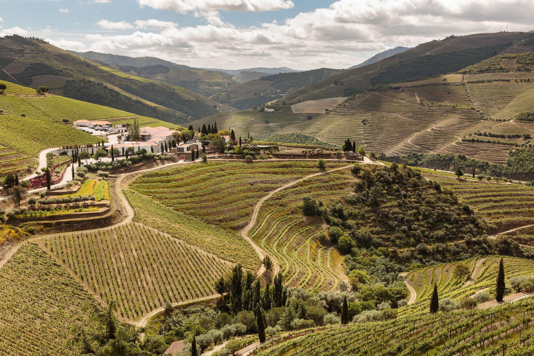 Quinta Nova Winery House - Relais & Chateaux Pinhão Zewnętrze zdjęcie